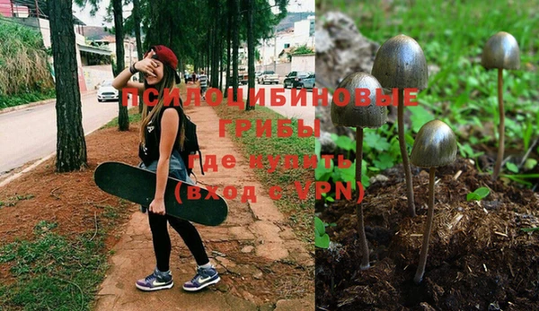 винт Алексеевка