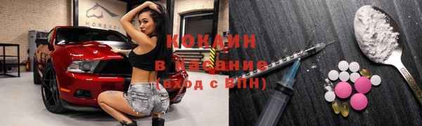 дурь Алзамай