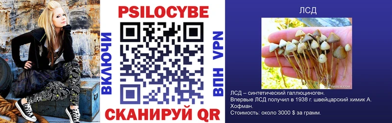 Галлюциногенные грибы ЛСД  Михайловск 
